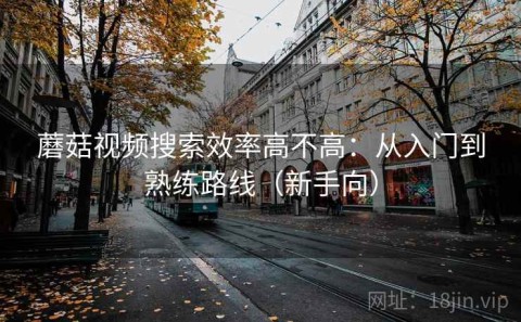 蘑菇视频搜索效率高不高：从入门到熟练路线（新手向）