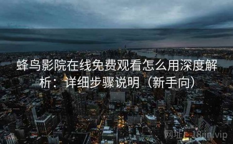 蜂鸟影院在线免费观看怎么用深度解析：详细步骤说明（新手向）
