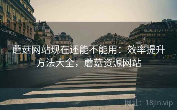 蘑菇网站现在还能不能用：效率提升方法大全，蘑菇资源网站