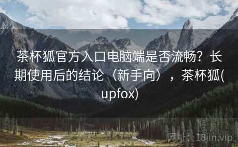 茶杯狐官方入口电脑端是否流畅？长期使用后的结论（新手向），茶杯狐(upfox)