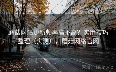 蘑菇网站更新频率高不高？实用技巧整理（实测），蘑菇网络官网