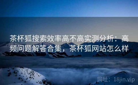 茶杯狐搜索效率高不高实测分析：高频问题解答合集，茶杯狐网站怎么样