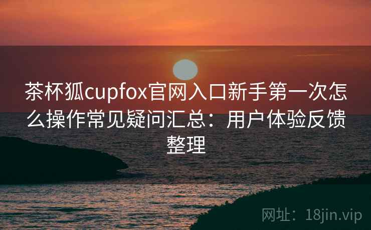 茶杯狐cupfox官网入口新手第一次怎么操作常见疑问汇总：用户体验反馈整理