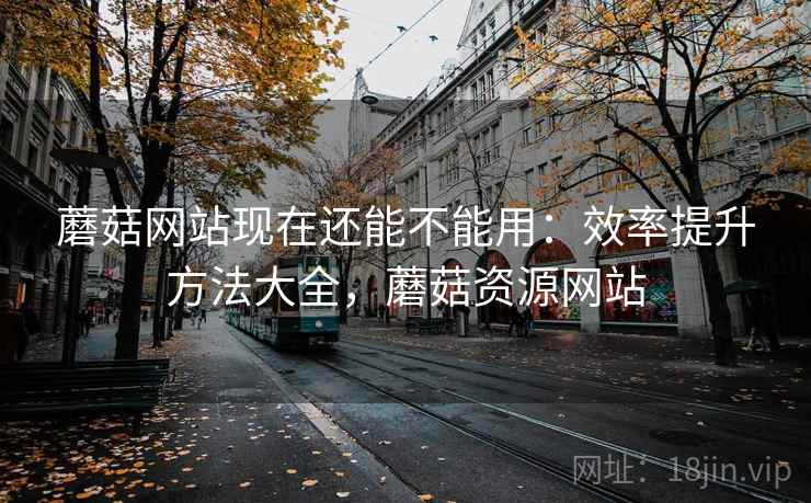 蘑菇网站现在还能不能用：效率提升方法大全，蘑菇资源网站